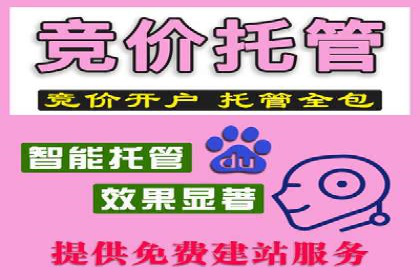 竞价推广SEM托管成功案例：提升品牌曝光度